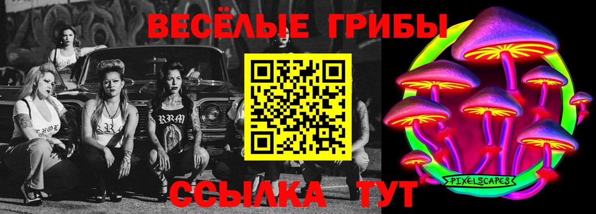 Псилоцибиновые грибы мицелий Орёл